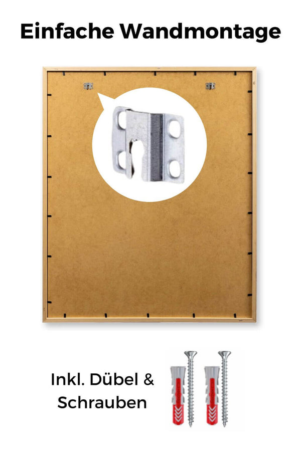 Trikotrahmen Premium Rückwand mit Dübel und Schrauben